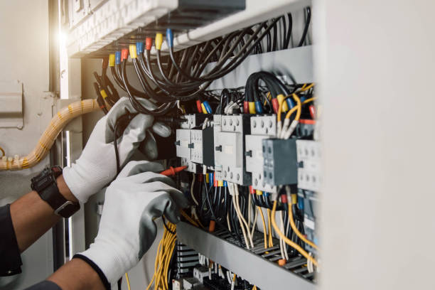 Best Electrical Upgrades for Homes  in Mount Plymouth, FL